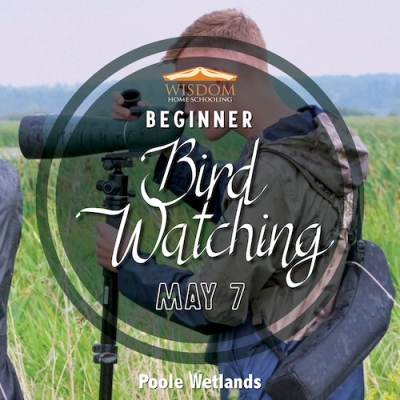 Introduction to Bird Watching K