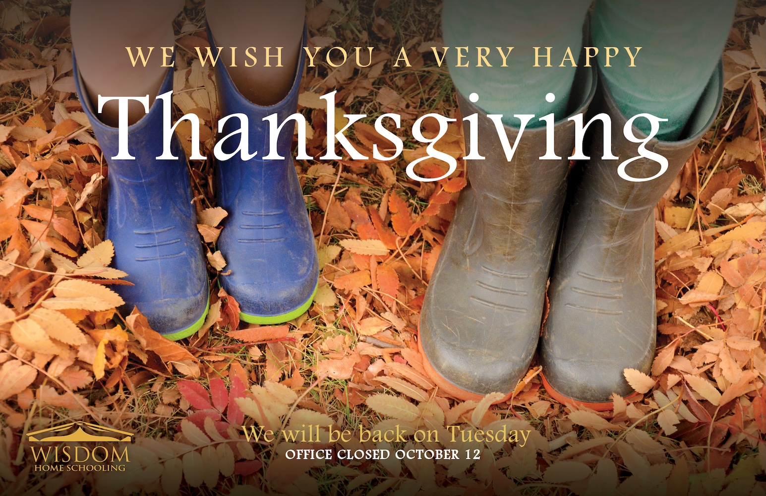 Thanksgiving WISDOM 2026 Landscape