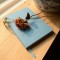 WISDOM Journal