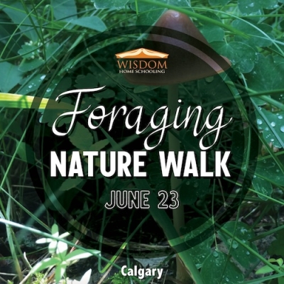 Foraging Walk - Calgary B