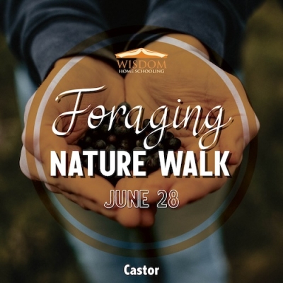 Foraging Walk - Castor