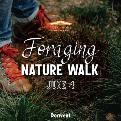 Foraging Walk - Derwent B