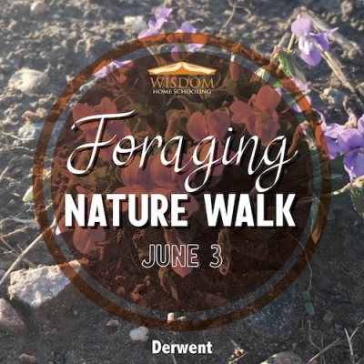 Foraging Walk - Derwent A