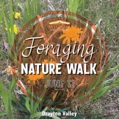 Foraging Walk - Drayton Valley