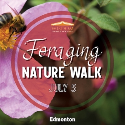 Foraging Walk - Edmonton F