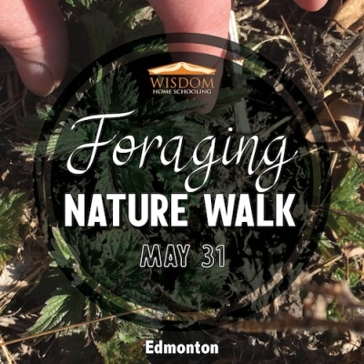 Foraging Walk - Edmonton A