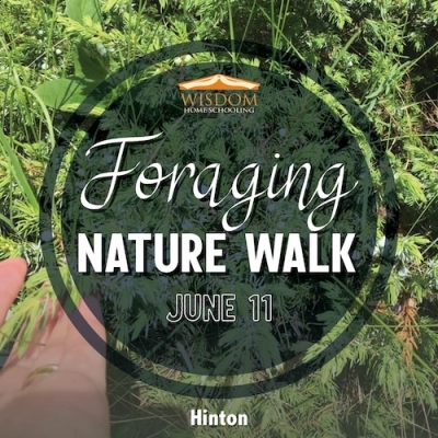 Foraging Walk - Hinton