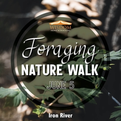 Foraging Walk - Iron River A