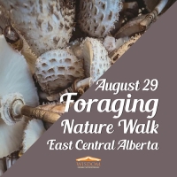 Foraging Walk O - East Central