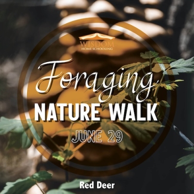 Foraging Walk - Red Deer A