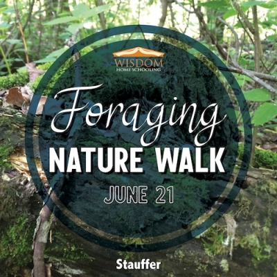 Foraging Walk - Stauffer