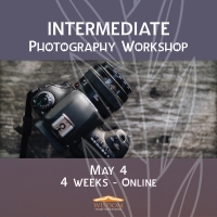 Intermediate Photography Workshop - 4 Weeks Online