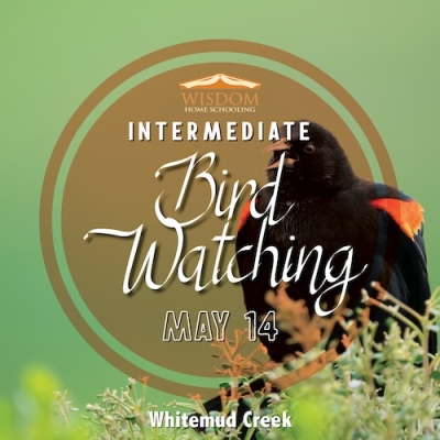 Intermediate Bird Watching E