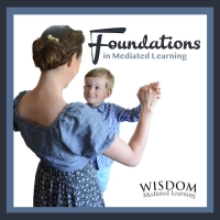 Mediated Learning Foundations C